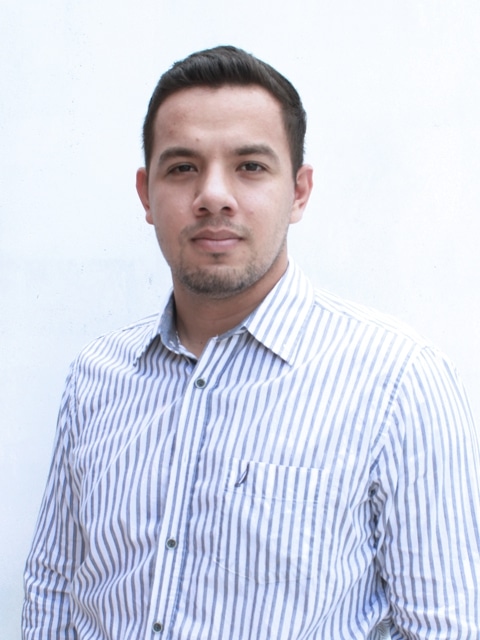 Giuliano Alain